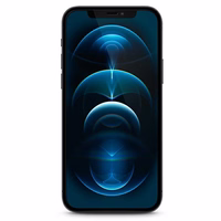 Guess apsauginis stiklas GUSPP12MSLTR iPhone 12/12 Pro 6.1" Vintage Magic Logo