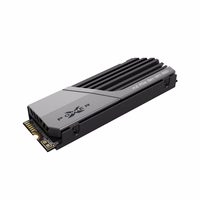 SILICON POWER PCIe Gen 4x4 XS70 Vidinis kietosios būsenos diskas SSD 2TB M.2 2280 NVMe 1.4 (SP02KGBP44XS7005) Juoda, Pilka