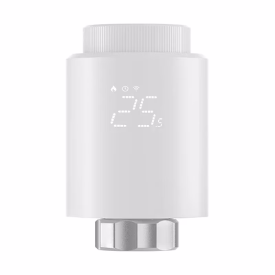 Termostatinės galvutės