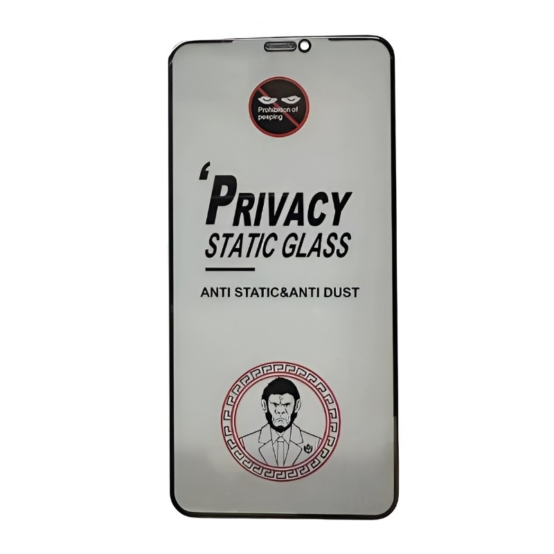 LCD apsauginis stikliukas ESD Anti-Static Privacy Apple iPhone 13 Pro Max