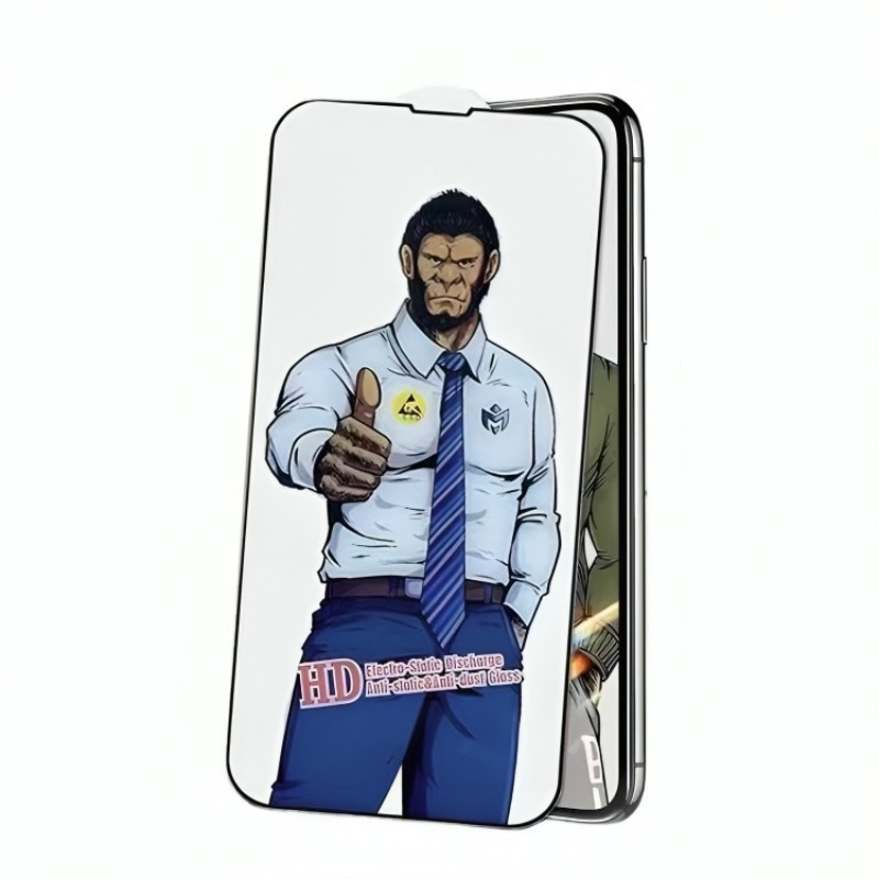 LCD apsauginis stikliukas ESD Anti-Static Xiaomi Redmi A5/Poco C71