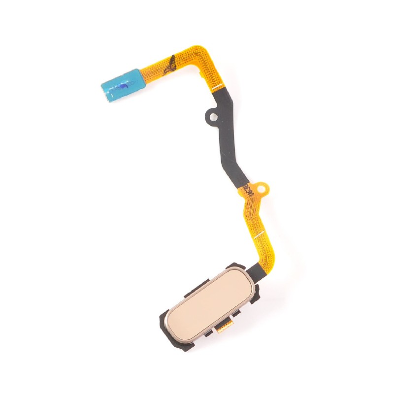 Lanksčioji jungtis Samsung G935F S7 Edge su auksiniu HOME mygtuku ORG