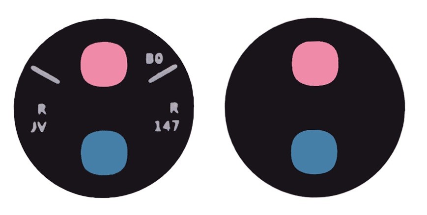 Samsung S908 S22 Ultra kameros stikliukas Black (lens Autofocus) 1pcs (service pack)