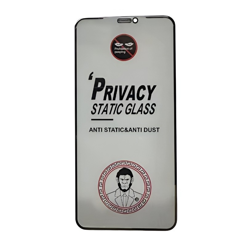 LCD apsauginis stikliukas ESD Anti-Static Privacy Samsung S942 S26 Pro